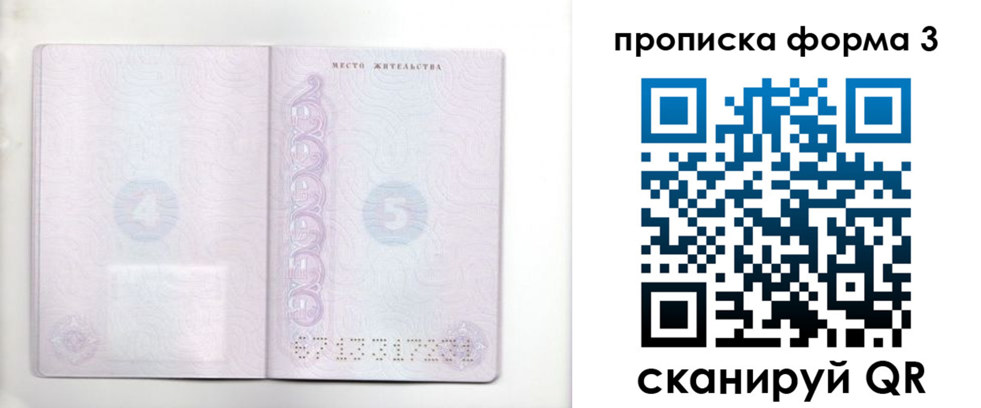 прописка гарантия в Ессентуках